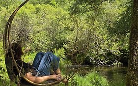 Moinhos do Poço Verde - Nova Gestão